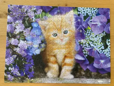 Ginger Cat in Flowers · photo 1
