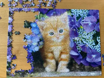 Ginger Cat in Flowers · photo 2