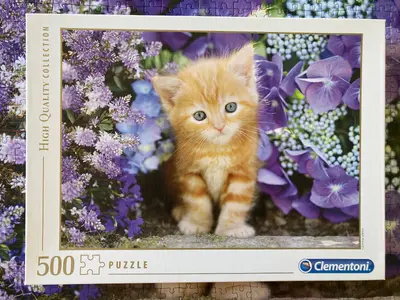 Ginger Cat in Flowers · photo 3