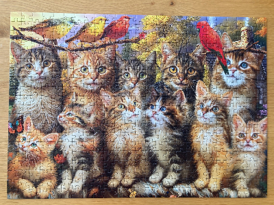 Kittens & Birds · photo 2