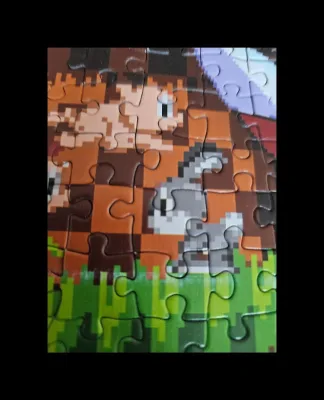 Sonic the Hedgehog - 64 bit · photo 2