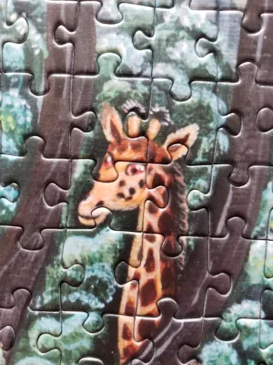 Wildlife Paradise · photo 2