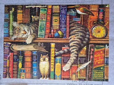Lovely Cat · photo 1
