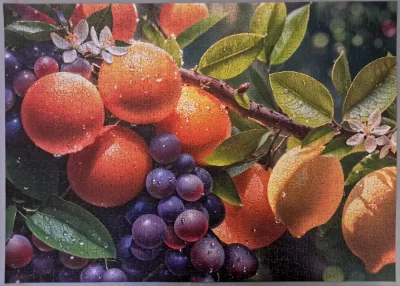 Sunny fruits — photo 1