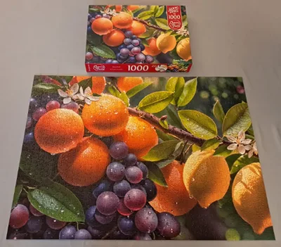 Sunny fruits — photo 2