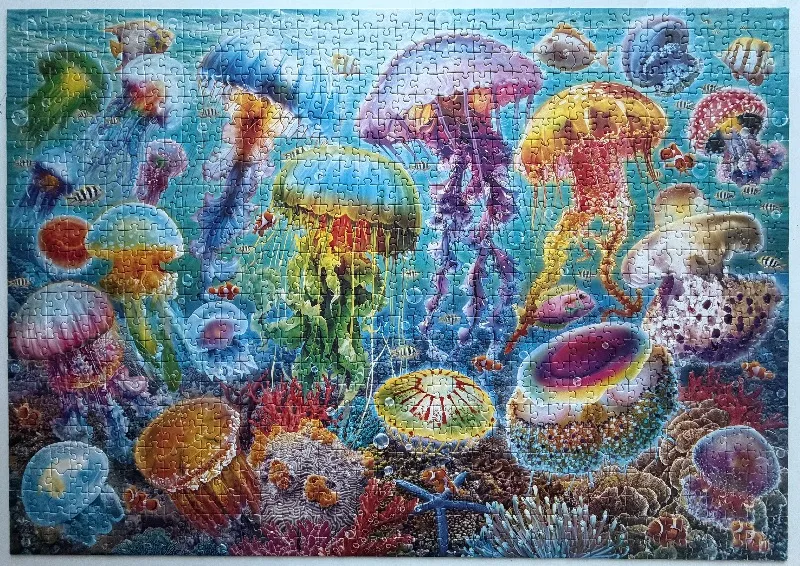 Méduses colorées