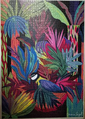 La Naissance de l'Oiseau — photo 1