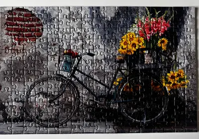Bicycle — photo 1