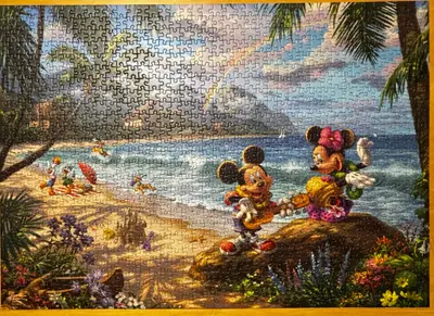 Mickey and Minnie in Hawaii — photo 1