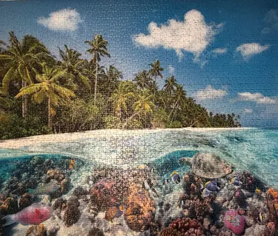 A Dive in the Maldives — photo 1
