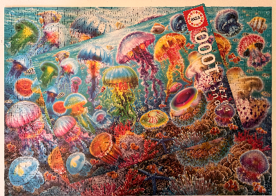 Méduses colorées — Photo 2
