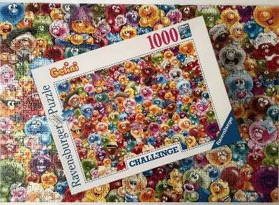 Gelini challenge — photo 3