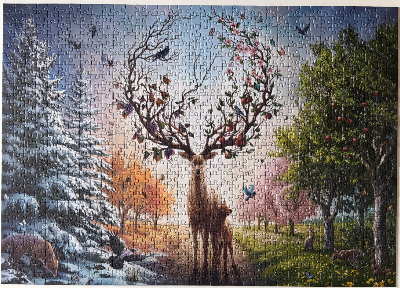 Cerf fantastique au fil des saisons · photo 1