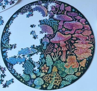 Mushrooms · photo 3