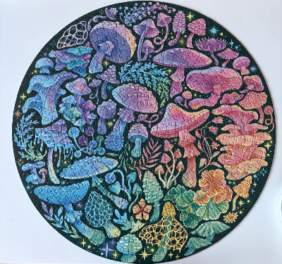 Mushrooms · photo 1