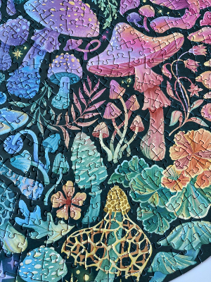 Mushrooms · photo 5