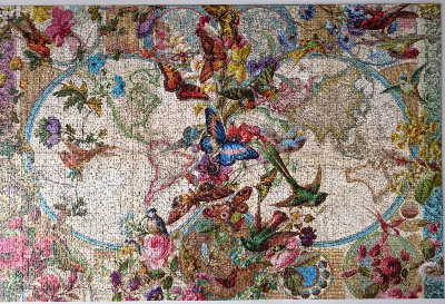 Carte de la flore et de la faune · photo 1