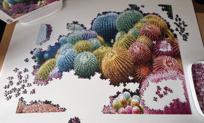 Arc en ciel de cactus · photo 3