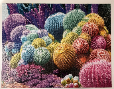 Arc en ciel de cactus · photo 1