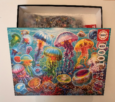 Méduses colorées — Photo 3