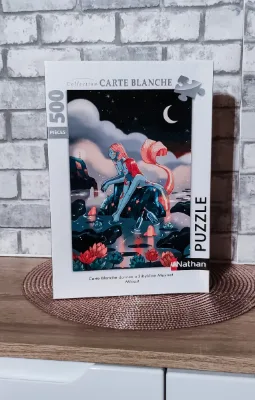 Minuit carte blanche Sibylline Meynet · photo 2