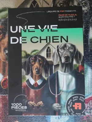 Une vie de chien