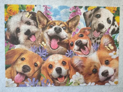 Puppies Selfie · photo 1