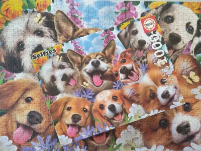 Puppies Selfie · photo 2