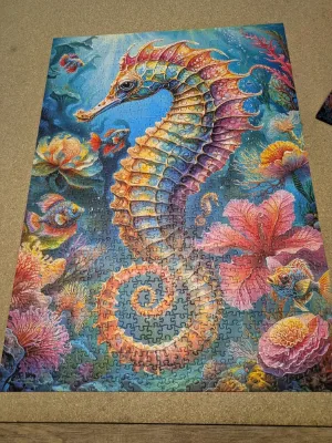 Seahorse, photo 1