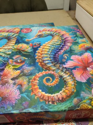 Seahorse, photo 2