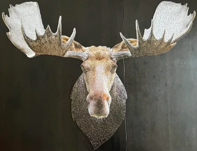 I Am Moose, photo 1