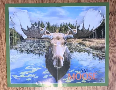 I Am Moose, photo 3