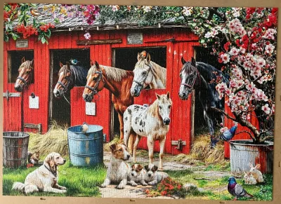 Horses un the Stable
