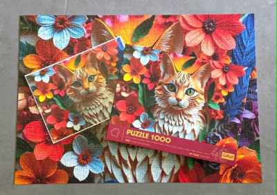 Cat, photo 2