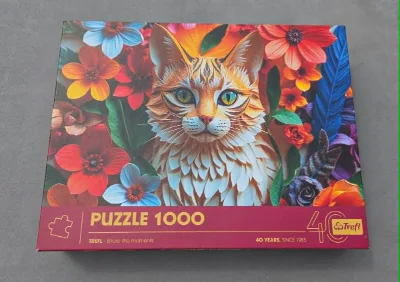 Cat, photo 4