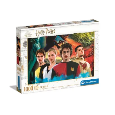 Harry Potter Triwizard Champions