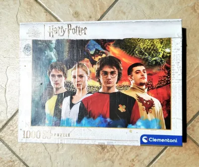 Harry Potter Triwizard Champions, photo 2