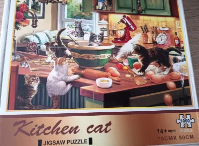 Kitchen cat