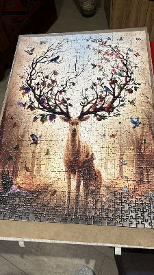 Magical Deer — Photo 2