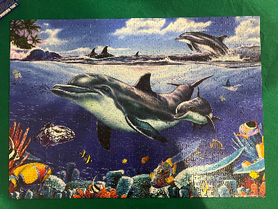 Dolphins in the Sea — photo 2