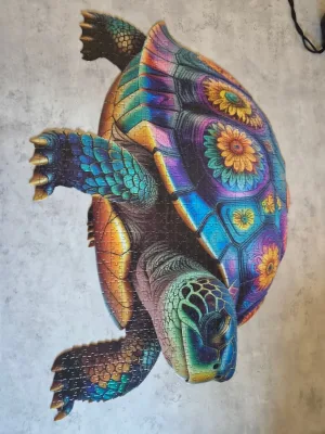 Turtle · photo 1