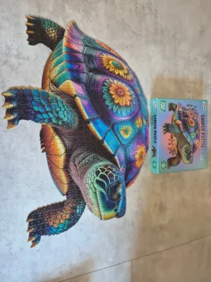 Turtle · photo 2