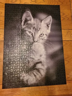 Kitty, photo 1