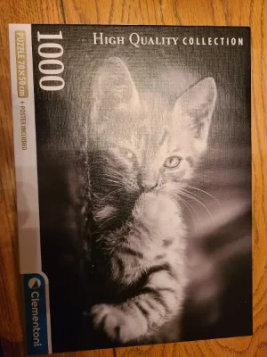 Kitty, photo 2