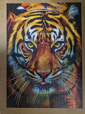 Tiger Head