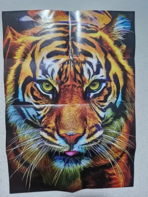 Tiger Head, photo 3