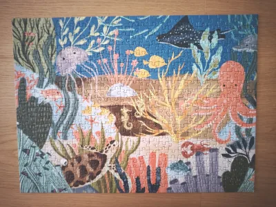 Ocean Whimsy — photo 1