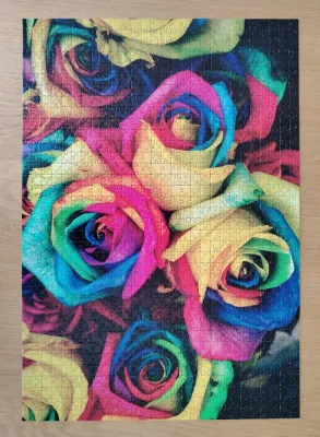 Roses — photo 1