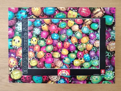 Ladybug Central · photo 2