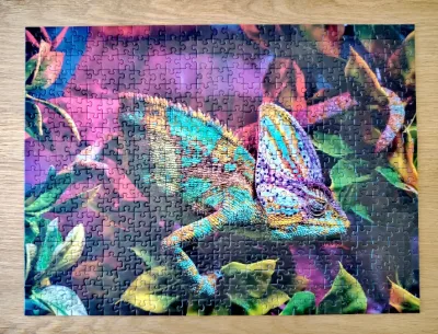 Chameleon · photo 1